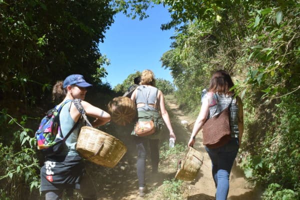 coffee pickers