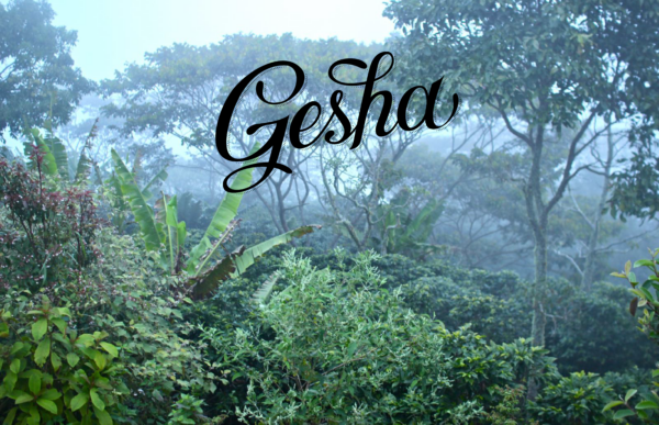 gesha logo