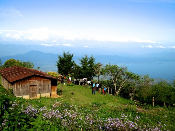 Sebastian Benitez' farm