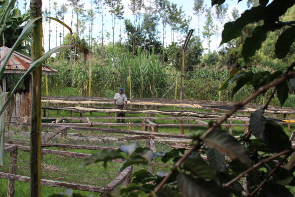 Kagumoini farm