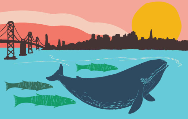 Bay Dreamer Art