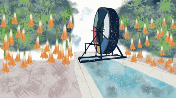 Illustration of Farami, Costa Rica farm