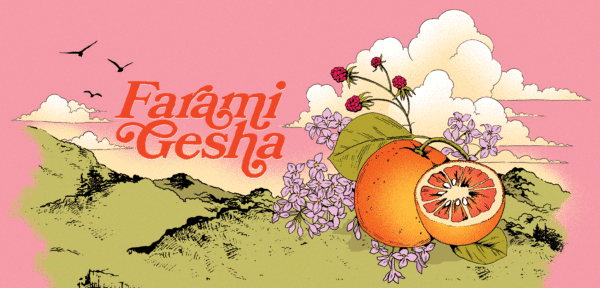Gesha Illustration
