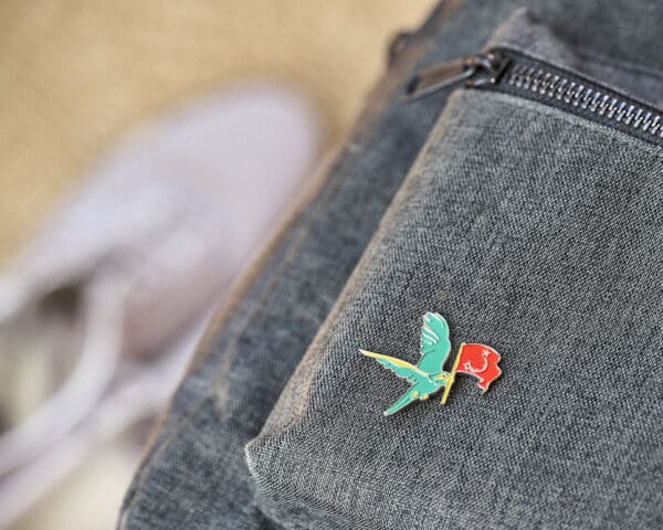 Pin on backpack