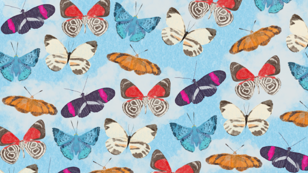 Illustration of colorful butterflies in a pattern