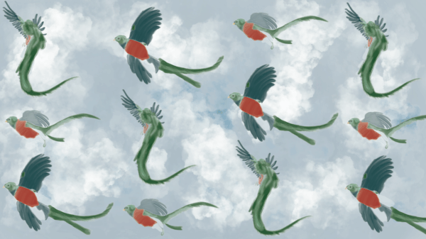 Illustrative pattern of a resplendent quetzal bird