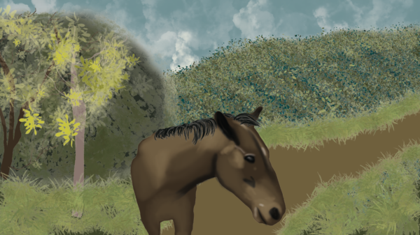 Illustration of a horse on the El Pedregal farm