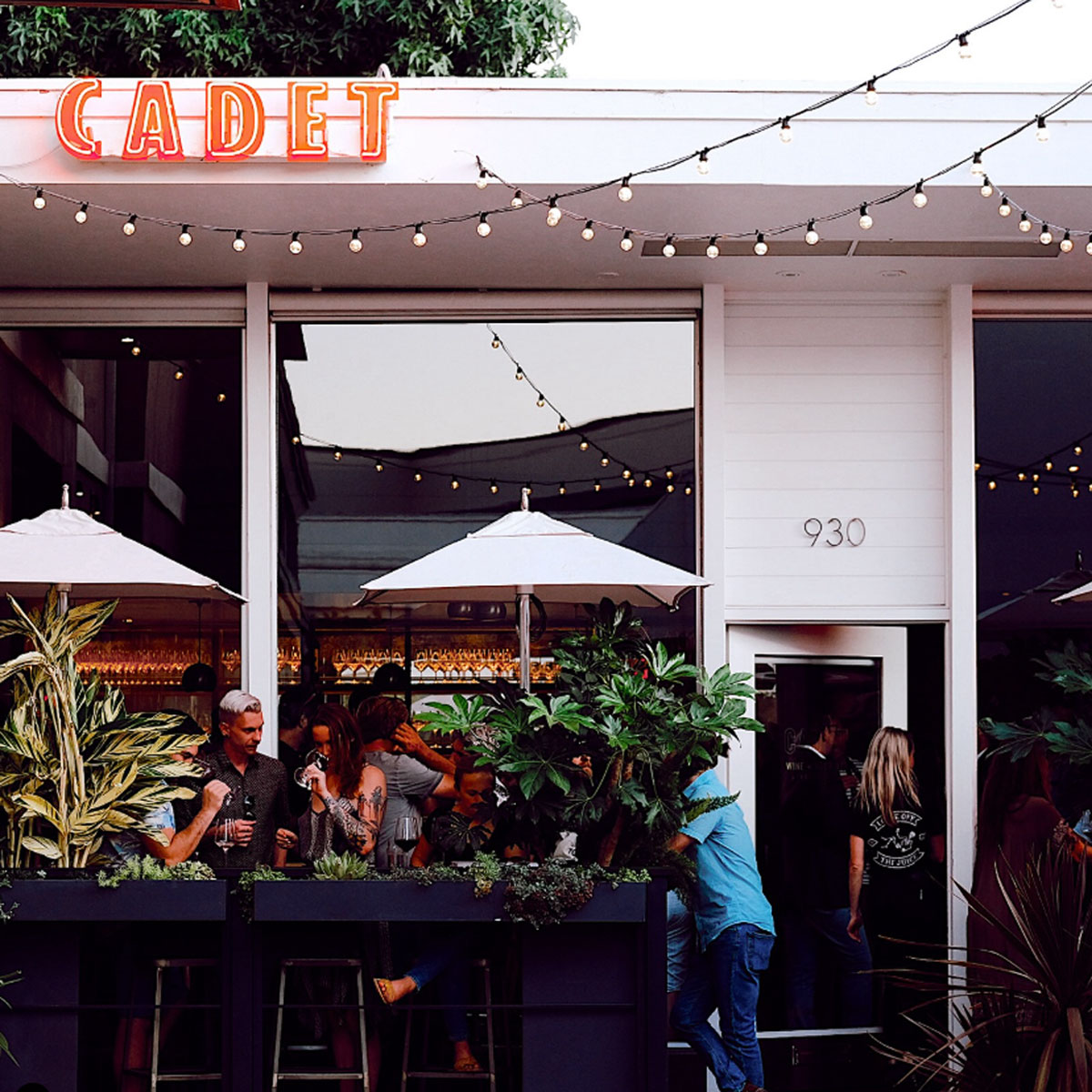 Cadet Wine Bar