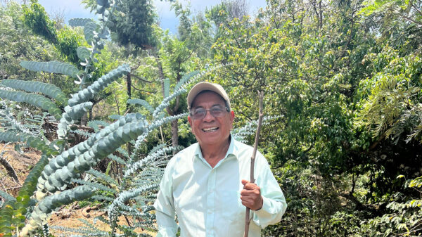 Fidel Raxcacó on his farm holding a wooden stick