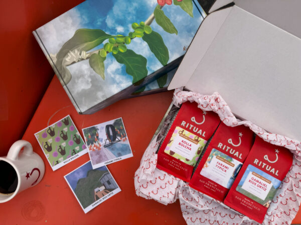 Coffee cherry illustrated box with 3 bags of coffee.
