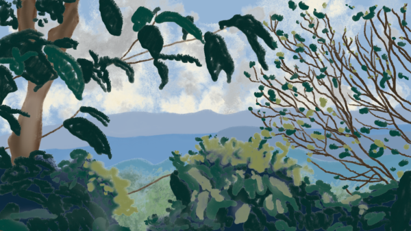 Illustration of Alexander Sabillon's farm