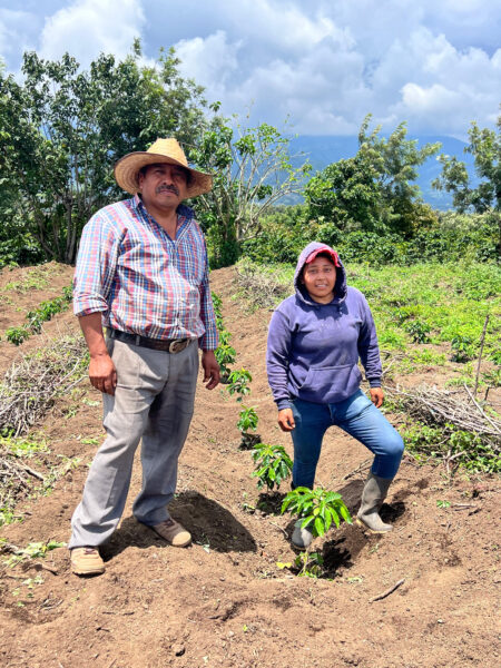 Two people standing in a coffee farm